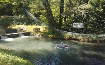 Oxygen measurements in local fish farm